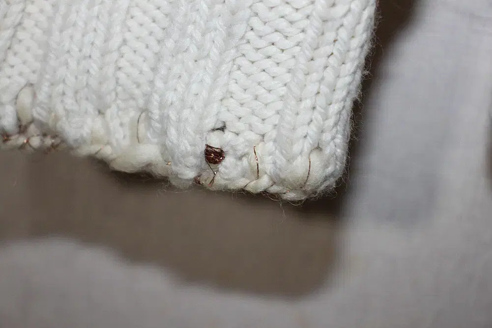 thumbnail-7